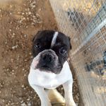 Nela_IMG_20251116_170047