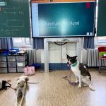 News_12-07-25_ASPA-Schulbesuch_519302958_n
