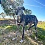 Nika_2026-02-20 at 12-19-09