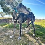 Nika_2026-02-21 at 12-19-09