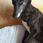 Nina_IMG_20260329_132239