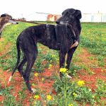 Nina_IMG_20260411_134147