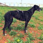 Nina_IMG_20260411_134308