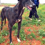 Nina_IMG_20260411_134330