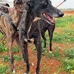 Nina_IMG_20260411_134341