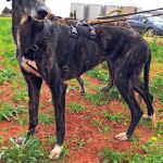 Nina_IMG_20260411_1344005