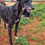 Nina_IMG_20260411_134408