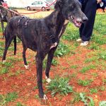 Nina_IMG_20260411_134410