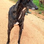 Nina_IMG_20260411_134528