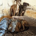 Nina_Ira_Beauty_IMG_20260329_133832