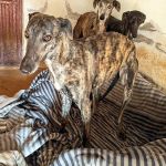 Nina_Ira_BeautyIMG_20260329_133819