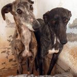 Nina_Ira_IMG_20260329_133806