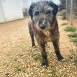 Nito_IMG_2188