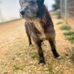 Nito_IMG_2189