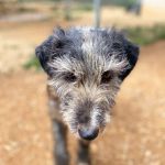 Nito_IMG_2412