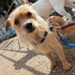 Nova_2026-03-30-14-39-02