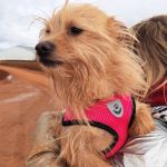 nova_2FIMG_202601242