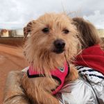 nova_2FIMG_2026012420