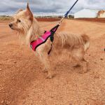 nova_2FIMG_20260124_121836