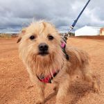 nova_2FIMG_20260124_1219148