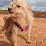 nova_2FIMG_20260124_1219656