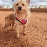 nova_2FIMG_20260124_122009