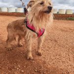 nova_2FIMG_20260124_122011