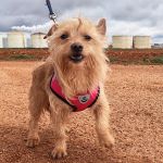 nova_2FIMG_20260124_12201320