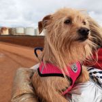 nova_2FIMG_20260124_122050