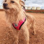 nova_2FIMG_20260124_19009176