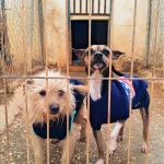 nova_FIMG_20260124_115202