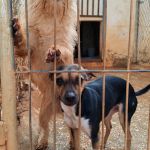 nova_FIMG_20260124_115203