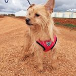 nova_FIMG_20260124_121824