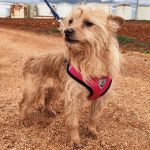 nova_IMG_20260124_121820_1