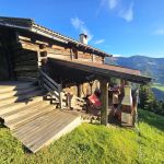 Österreich (Alpbach)_image10