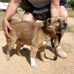 Oliver_IMG_2938