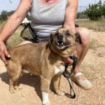 Oliver_IMG_2939
