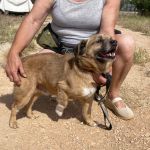Oliver_IMG_2940