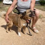 Oliver_IMG_2941