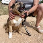 Oliver_IMG_2942