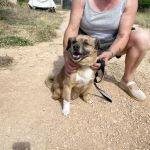 Oliver_IMG_2944