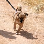 Oliver_IMG_5820
