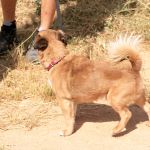Oliver_IMG_5821