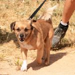 Oliver_IMG_5822