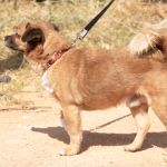 Oliver_IMG_5823