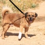 Oliver_IMG_5826