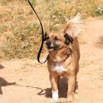 Oliver_IMG_5827