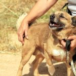 Oliver_IMG_5828