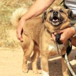 Oliver_IMG_5829