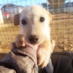 Pablo_IMG_20260219_084056